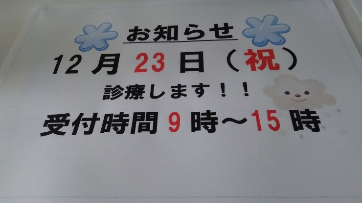 「明日、診療します！」