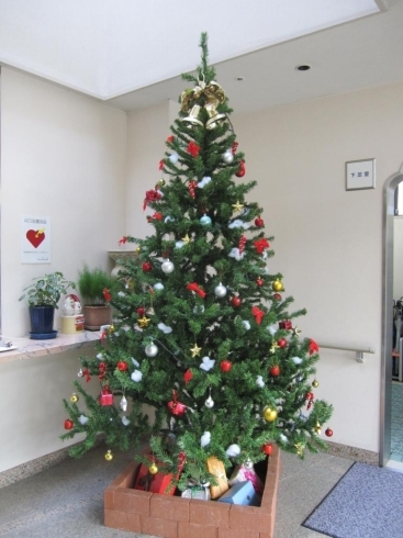 「♬　真っ赤な　お～は～な～の～　トナカイさんは～　♫　　高住センターから、クリスマスツリーを飾られている老人ホーム見学情報です。」