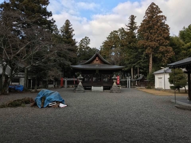 「今年の全業務が終了いたしたしました！」