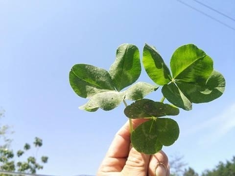 「人気メニューのご紹介(*´ω｀*)」