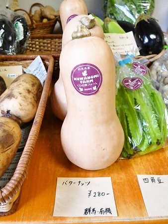 こんな珍しい野菜もありました。<br>バターナッツスクアッシュ。かぼちゃの種類です。甘くて肉厚が柔らかいのでスープやグラタンに適しています♪