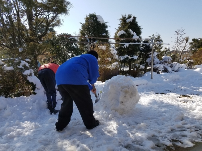 「なめがた日和久々更新子供達と雪遊び」