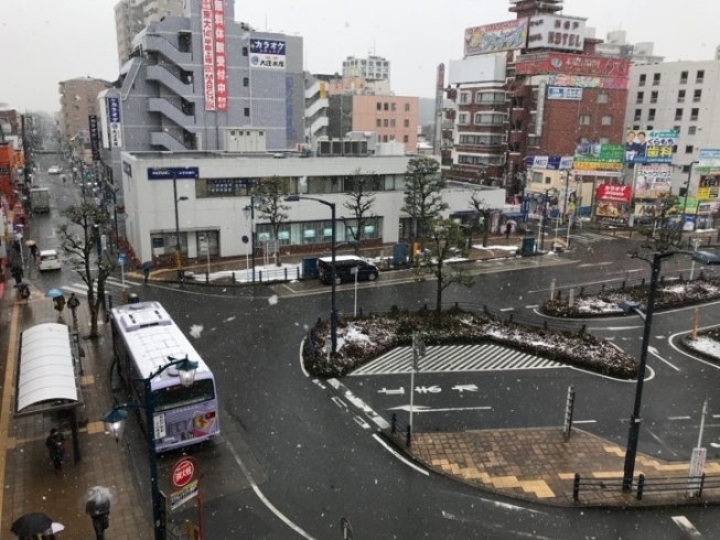 「流山市内大雪注意報発令中！！」