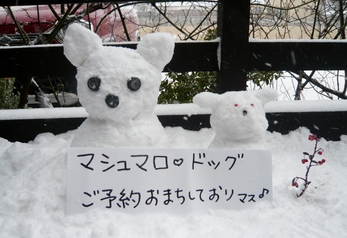 「マシュマロ❤わんこ雪だるま　(*^-^*)」