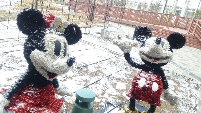 「✩雪だったぁー☆」