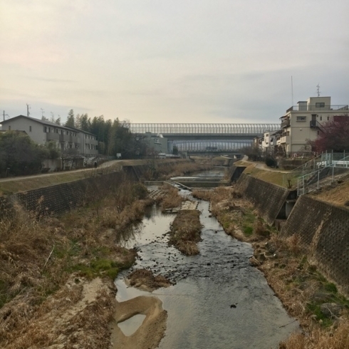 「【2/15】交野日和」