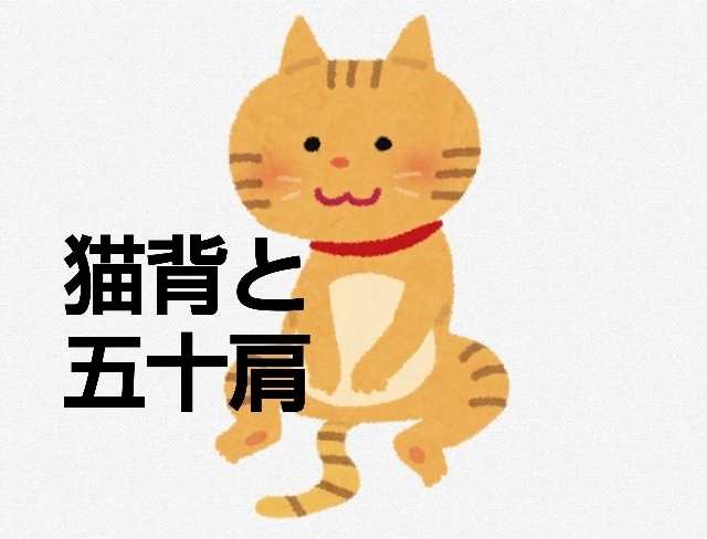 「猫背と五十肩♪五十肩専門整体ざんまい船橋市」