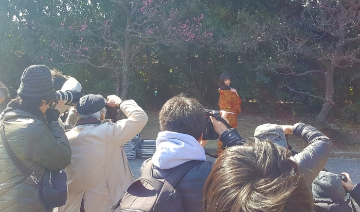 「向山緑地内梅林園 梅まつり　プリンセスウェーブkasumi」