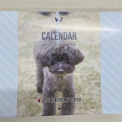 「できました！京都動物 モデル犬カレンダー 2023」