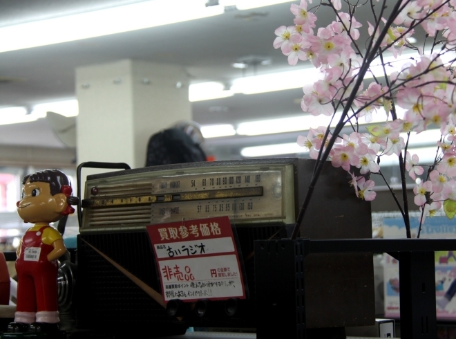 「三喜店内さくらが開花～」