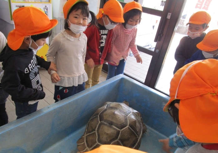 「思いで遠足に行ってきました！」