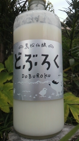 「♡　もしかしてだけど～ ♪♪ 　♡『じわじわ来てますょ』♡『雨が降り　春の風が～ 心地よく～　新しい出逢いが訪れる～』本格的な『どぶろく』!!!　『どぶ ロック』お薦めです。」