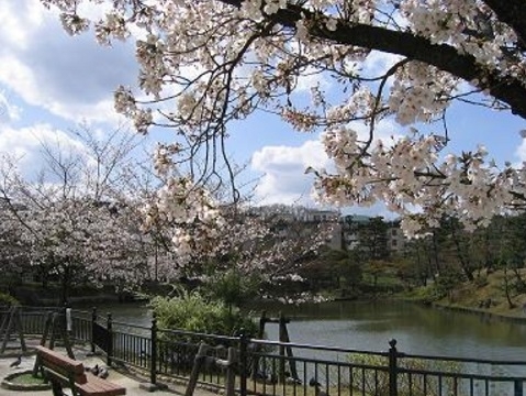 「名庭園・以楽公園を開放！　3月28日（水曜日）〜4月11日（水曜日）」