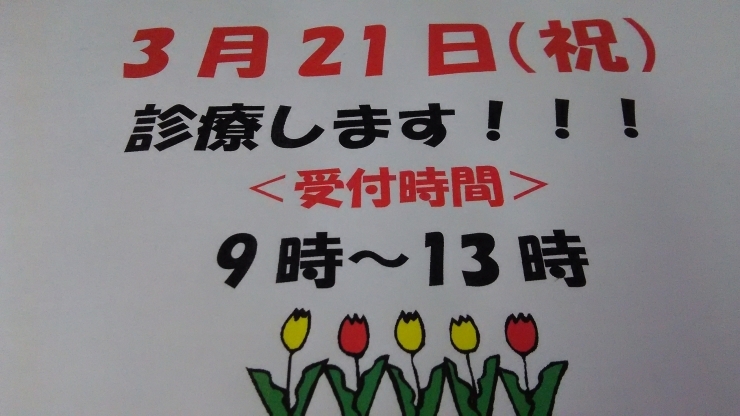 「3月21日診療します。」