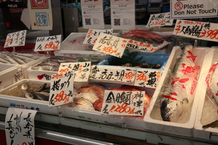 「八千代市、佐倉市の鮮魚店   　 魚や山粋（ヤマスイ）　　本日2日目新聞折込特売！」