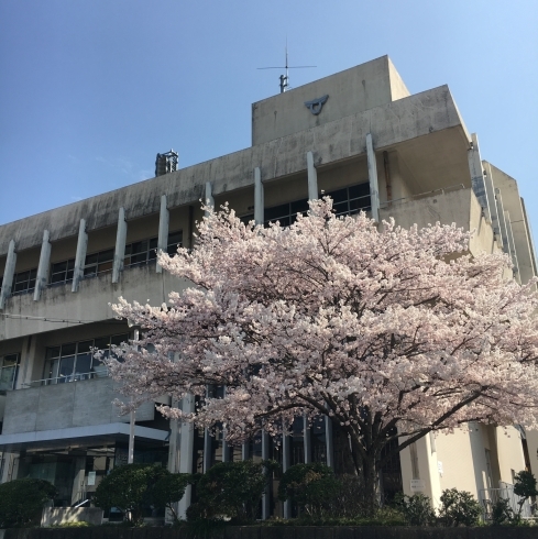 「【3/28】交野日和」