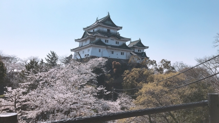 「お花見日和」