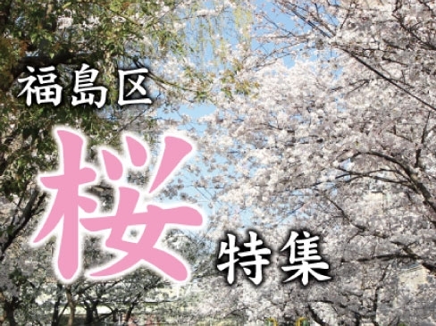 「福島区の桜情報を大公開！」