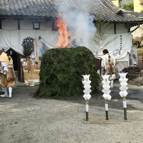 「新年度になりました。」