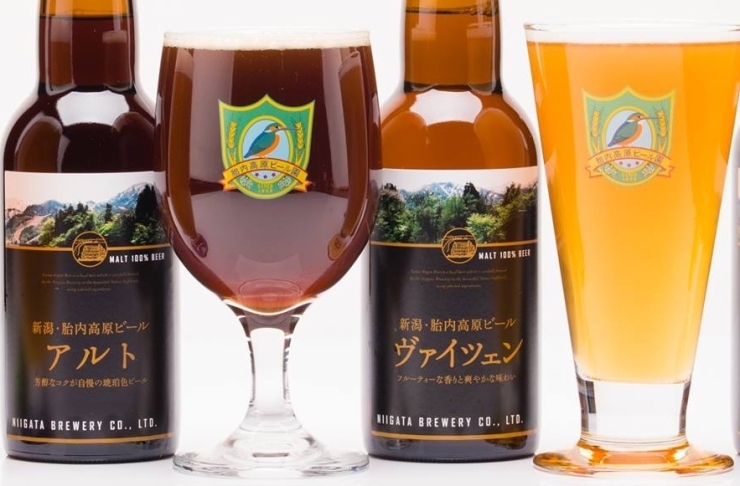 「ビッグニュース❕なんと胎内高原ビール2種類を飲み放題に追加致します。」