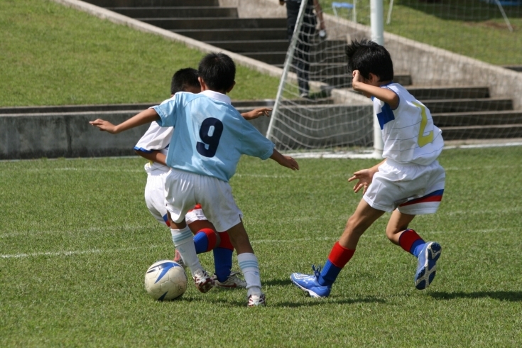 「江戸川区姉妹都市　オーストラリア・セントラルコースト市にサッカー交流事業のご案内」