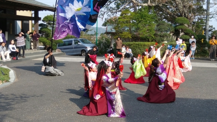 「千部会桜ひらひら次は4/7(土)潮来市牛堀の権現山さくら祭り」