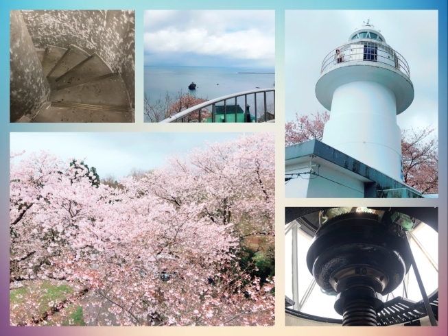 「「桜の灯台」の一般公開に行ってきました♪」
