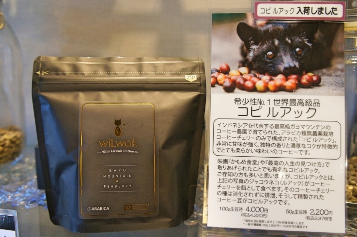 「『コピ ルアック』｜市川駅でコーヒー豆を買うなら当店へ！」