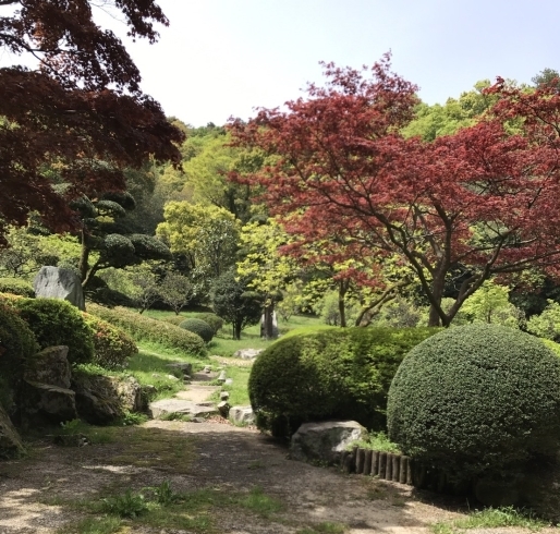 「滝の宮公園は、新緑の季節！【新居浜市滝の宮町】」