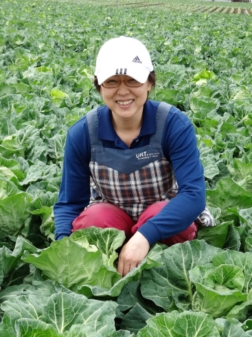 「野菜で元気！「らくベジ・３５０」明日は銚子の春キャベツ【まる空間】」