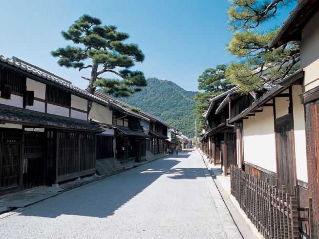 「重伝建　近江八幡に行こう！」