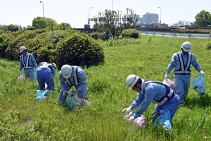 「『ボランティア美化運動（浦安市）』」