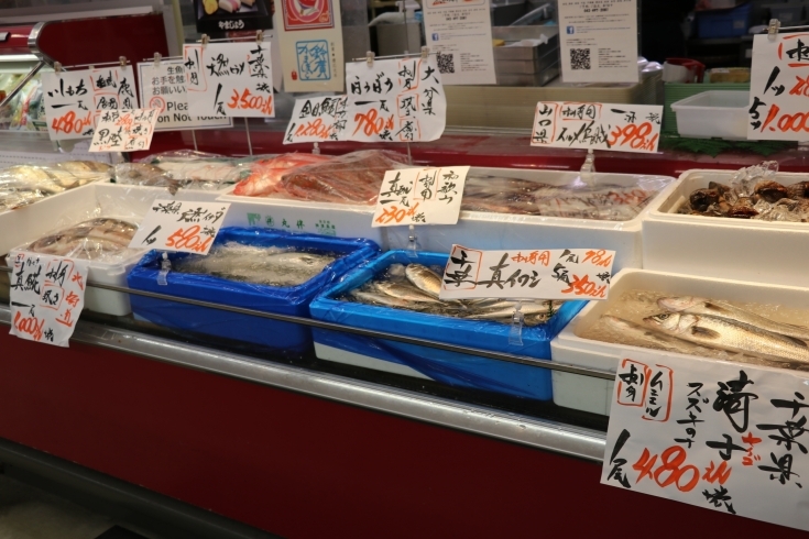 「八千代市、佐倉市の鮮魚店   　 魚や山粋（ヤマスイ）　　 本日地魚　下処理無料」