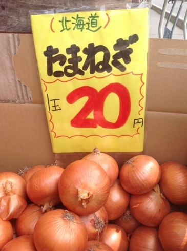 「玉ねぎ超特価 北海道産L大が1玉20円！」