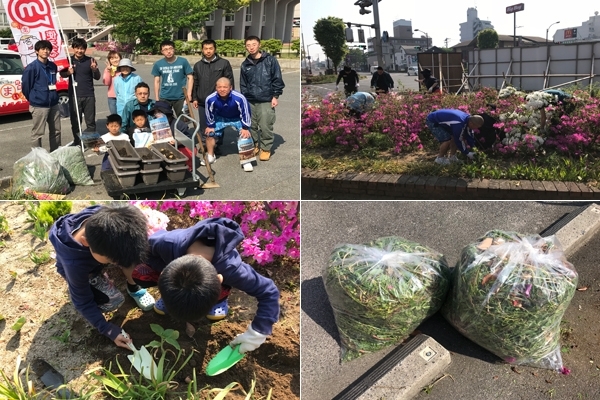 「ご参加ありがとうございました！　米子市公会堂【草抜き＆ひまわりの苗植え】」