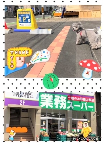 「トット店長がNEW駐車場をご紹介！」