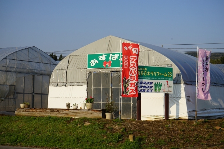 「太くて甘いアスパラ！　今が旬！！」