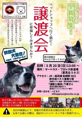 「【長与千種のプロレス団体 マーベラス プロレス】5/20(日)保護犬と新しい飼い主さんの架け橋をしております！里親募集！！譲渡会！！」