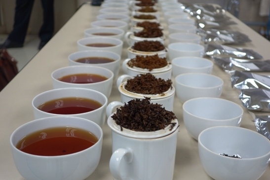 インド、スリランカ、中国、ケニアなどの各地から13種類の紅茶が集められました。<br>色も香りも様々で紅茶の奥深さを感じます。