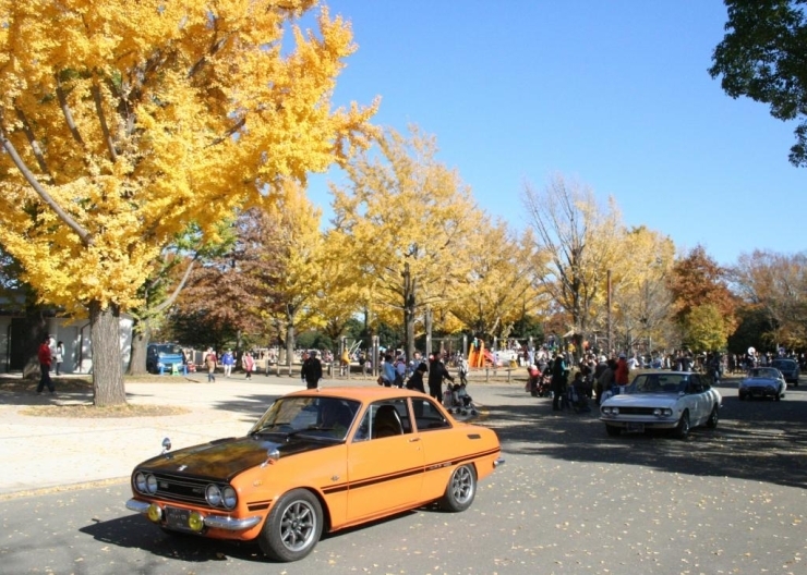 公園内を走る昭和の名車。写真のオレンジの車は「いすゞ　べレットGTR」