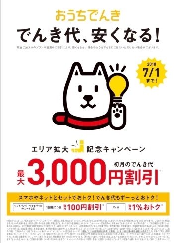 「おうちでんき代初月3,000円値引きキャンペーン」