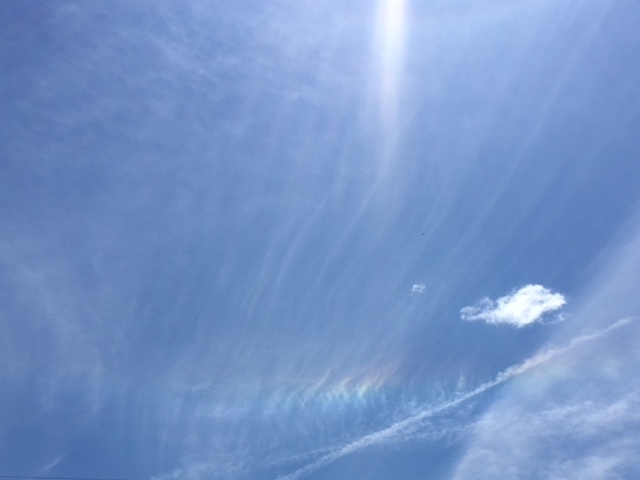 「今日は、”彩雲”が見えました♪」