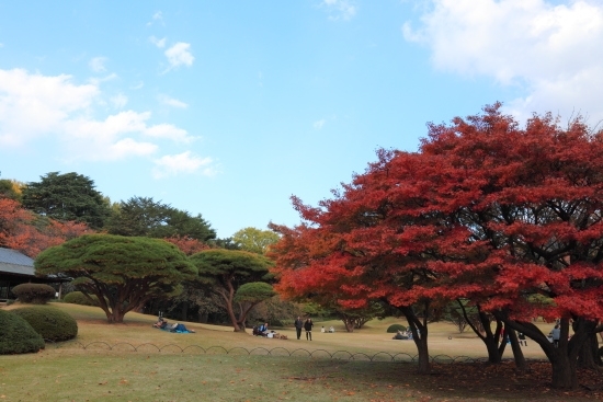 [茶室・翔天亭]前の広場　緑と赤の対比が美しい、くつろげる空間です。