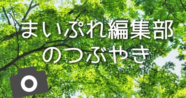 「【 編集部のつぶやき 】まいぷれ編集部つぶやいてご報告します♪♪♪地域の交流やイベント報告などなど♪♪♪」