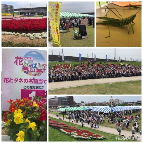 「花と緑に囲まれた癒しのイベントへ☆」