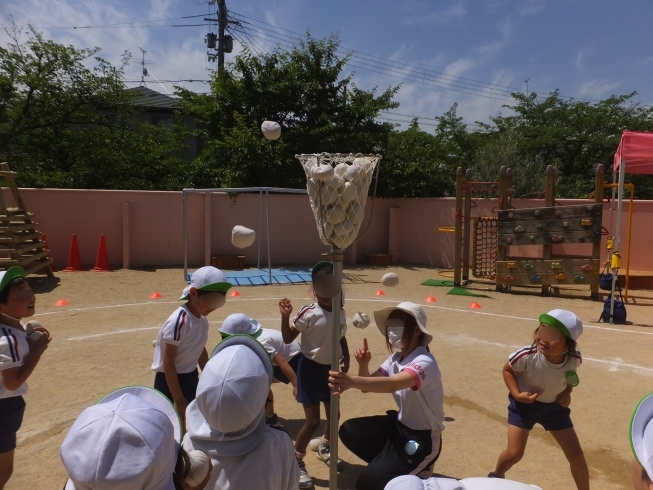 「先週の土曜日に春の運動会がありました。　子育て支援事業の年間予定の一部が確定しました。」