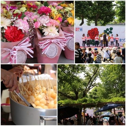 「西小岩祭りに行ってきました！ 公園の木陰が気持ちいい♪」