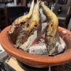 【和歌山市】『紀州炉端 虹や』が4月22日、和歌山市美園町にNEW OPEN!
