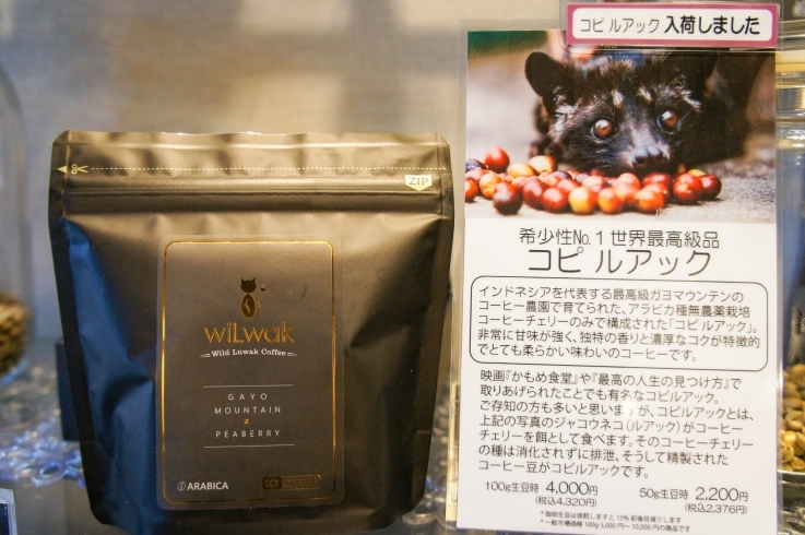 「世界一高価で希少なコーヒー「コピ ルアック」｜津田沼駅でコーヒー豆を買うなら当店へ！」