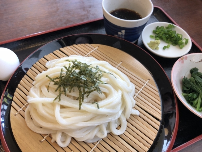 「暑い日には冷たいうどん！【氷見うどん 美濃屋 広小路店】」